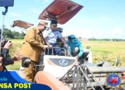 Perkuat Ketahanan Pangan Nasional, Danlanud Sultan Hasanuddin Hadiri Penen Raya Serentak di 14 Provinsi Bersama Presiden RI
