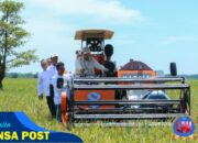 Presiden Prabowo Panen Serentak di Majalengka dan14 Provinsi, Produksi Beras Tertinggi dalam Kurun 7 Tahun
