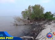 Warga Tiga Desa di Kec.Bantan Minta Penambahan Pemecah Ombak Atasi Abrasi