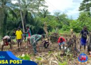 Satgas Yonif 131/Brajasakti Laksanakan Kemandirian Pangan di Perbatasan Papua