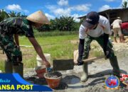 Bahu Membahu Bersama Masyarakat Di Perbatasan Papua, Satgas Yonif 131/Brajasakti Membantu Membangun Masjid