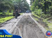TMMD ke-124 Kodim 0320/Dumai: Pengerasan Jalan Sukamaju Semakin Intensif, TNI dan Warga Bersinergi di Hari ke-6