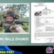 TNI Amankan Intan Jaya, 18 OPM Berhasil Dilumpuhkan