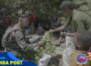 Bantu Perokonomian Petani di Papua, Satgas Yonif 715/Mtl Borong Hasil Tani