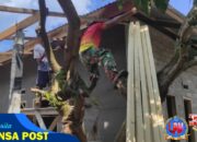 Bersama Melangkah. Gotong Royong Dalam Mewujudkan Impian Rumah Layak Huni Ibu Nursia Alhaser