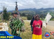 Satgas TNI Borong Hasil Tani Mama-Mama Papua di Kampung Wako
