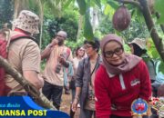 Lampung Timur Menuju Pusat Studi dan Investasi Kakao Dunia