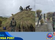 Satgas TNI Bangun Honai, Merawat Adat, Menjaga Hati Rakyat