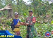 Satgas TMMD 125 Kodim 1506/Namlea Melaksanakan Tanam Bibit Pohon Keras Dengan Target 10.000 Pohon