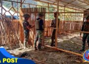 Satgas Yonif 700/Wyc Kejar Target Pembangunan SD 03 Mayuberi Hampir Rampung