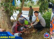 Polisi Penggerak Ketahanan Pangan Polsek Cikijing bersama Petani Bersinergi Dalam Rangka Mendukung Ketahanan Pangan Nasional