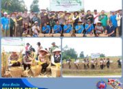 Bupati dan Kapolres Lampung Timur Hadiri Panen Raya Kuartal III 2025, Dukung Swasembada Pangan Nasional