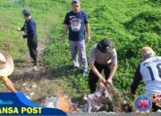 Wujudkan Lingkungan Sehat, Bhabinkamtibmas Polsek Cikijing Bersama Warga Desa Sukamukti Lakukan Gotong Royong