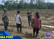 Optimalkan Program Hanpangan, Dandim 1710/Mimika Gandeng PPL dan Kelompok Petani Dalam Pemanfaatan Lahan Tidur Menjadi Lahan Produktif