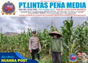 Ketahanan Pangan, Polres Ciamis Ikut Tanam Jagung Bareng Warga Desa Gegempalan