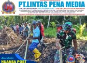 Satgas TMMD ke-126 Kodim 1505/Tidore Bersama Masyarakat Tanam Jagung di Lahan Ketahanan Pangan