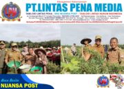 Bupati Mesuji Hj.Elfianah Khamami Kunjungi BUMDes Mekar Jaya