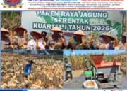 Majalengka Peringkat Tiga se-Jawa Barat dalam Serapan Jagung tahun 2025