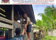 Personel TMMD Ke-127 Kodim 1514/Morotai Kerjakan Plester Dinding dan Pasang Triplek RTLH di Desa Mandiri
