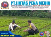 Bhabinkamtibmas Polsek Malausma Sambangi Petani Kacang Tanah Dukung Ketahanan Pangan Lokal