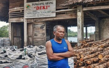 Kilang Arang di Semukut Disorot, Produksi Puluhan Ton Diduga Tak Seimbang dengan Reboisasi Mangrove