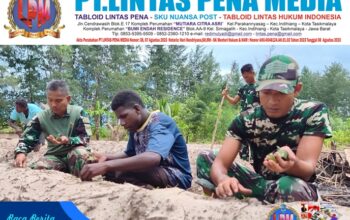 Manfaatkan Lahan Tidur, Satgas TMMD Ke-128 Kodim 1710/Mimika Tanam Jagung Bersama Warga
