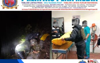 Quick Response TNI Pascaserangan Brutal OPM terhadap Warga Sipil di Camp Wini Kalikuluk MP 69