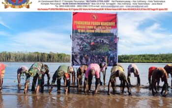 Bersatu Dengan Alam, Satgas TMMD Kodim 1710/Mimika Tanam Ribuan Bibit Mangrove