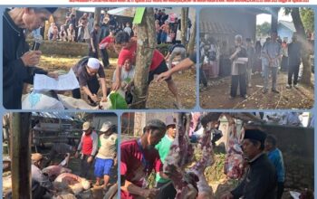 Pemdes Margajaya Bersama Yayasan Pondok Pesantren Al Falah Tebar Kebahagiaan Lewat Kurban