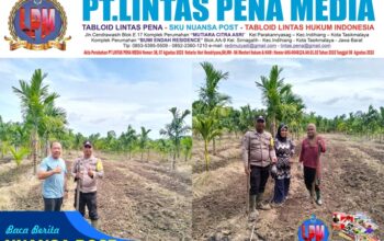Polsek Merbau Lakukan Pengecekan Lahan Jagung Pipil di Desa Bandul, Dukung Swasembada Pangan Nasional