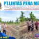 Polsek Merbau Lakukan Pengecekan Lahan Jagung Pipil di Desa Bandul, Dukung Swasembada Pangan Nasional