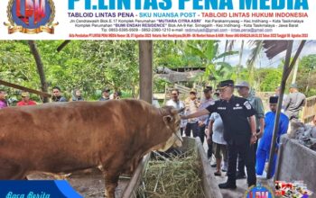 Bupati Asmar Tinjau Sapi Kurban Bantuan Presiden RI untuk Warga Kepulauan Meranti