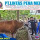 Bupati Asmar Tinjau Sapi Kurban Bantuan Presiden RI untuk Warga Kepulauan Meranti