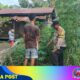 Tak Hanya Jaga Keamanan, Polsek Enok Aktif Dampingi Warga Kelola Lahan Produktif