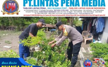 Dukung Ketahanan Pangan, Bhabinkamtibmas Polsek Rangsang Barat Tinjau Perkebunan Cabai Warga
