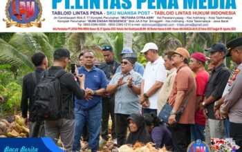 Wabup Muzamil Bersama Delegasi Grisek Jaya Sdn. Bhd Tinjau Perkebunan Kelapa di Kecamatan Rangsang