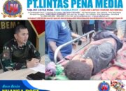 Koops TNI Habema: Tidak Ada Patroli TNI di Danggoa Saat Insiden Ledakan Terjadi