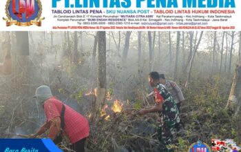 TNI Kerahkan 14.167 Personel Tangani Karhutla di Sejumlah Wilayah