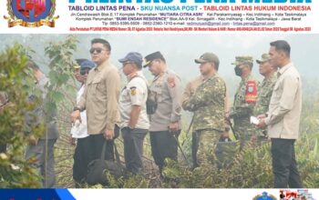 Panglima TNI Dampingi Presiden RI Tinjau Penanganan Karhutla di Kalimantan Barat