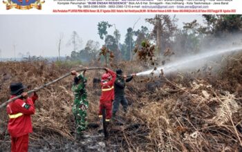 TNI Siagakan 73.766 Personel Tangani Karhutla di Berbagai Wilayah