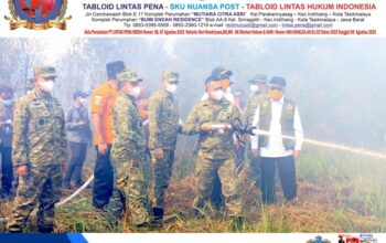 Komandan Lanud Sjamsudin Noor Pimpin Langsung Pemadaman Kebakaran Hutan dan Lahan di Kalimantan Selatan