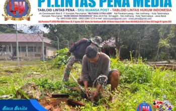 Perbaikan Pipanisasi Dikebut, Satgas TMMD Ke-129 Pastikan Program TNI Manunggal Air Bersih Segera Dinikmati Warga Kampung Sesor