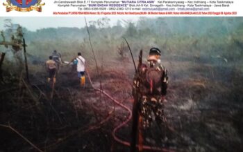 Respons Cepat Karhutla Dekat IKN, TNI Gerakkan Helikopter Caracal untuk Water Bombing