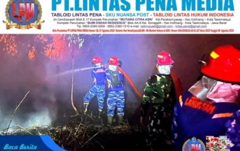 Siang Hingga Dini Hari, Satgas Karhutla Lanud Sjamsudin Noor Terus Bergerak, Terjang Padamkan Api di Lahan Gambut