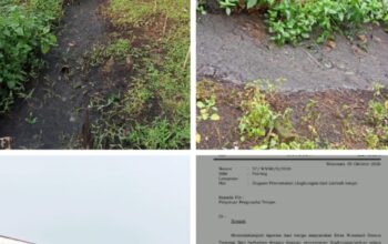 Diduga Ada Pengusaha Tempe Ilegal Di Desa Wonosari kecamatan Bengkalis, Ketua DPD PW MOI Kab Bengkalis Dalam Waktu Dekat Siap Laporankan Ke Dinas DLH .